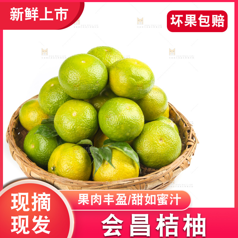 白底上的桔柚