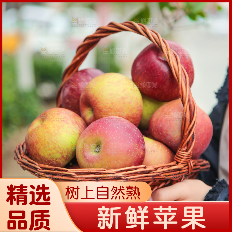 手里拿着丑苹果