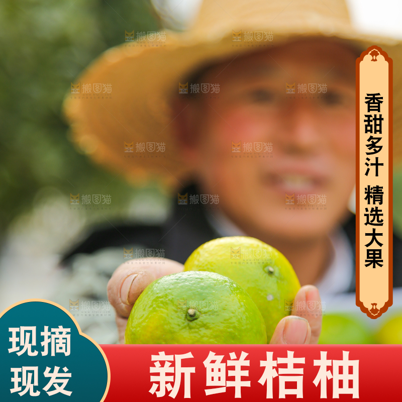 手里拿着建阳桔柚