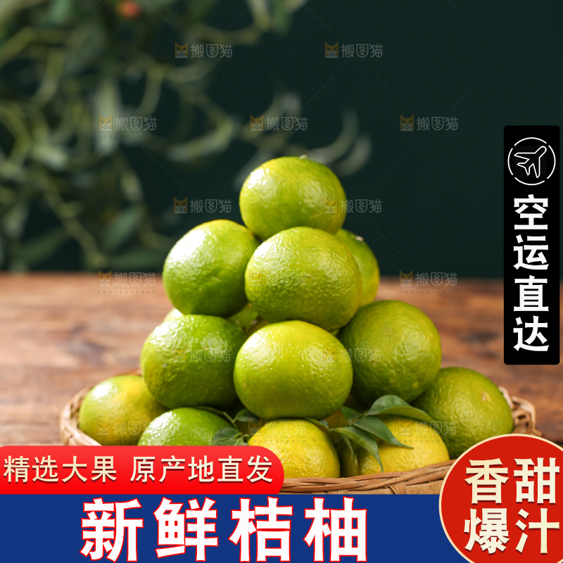 深底上的建阳桔柚