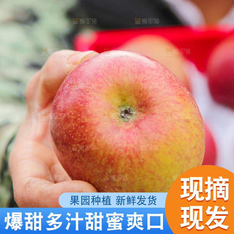 手里拿着丑苹果