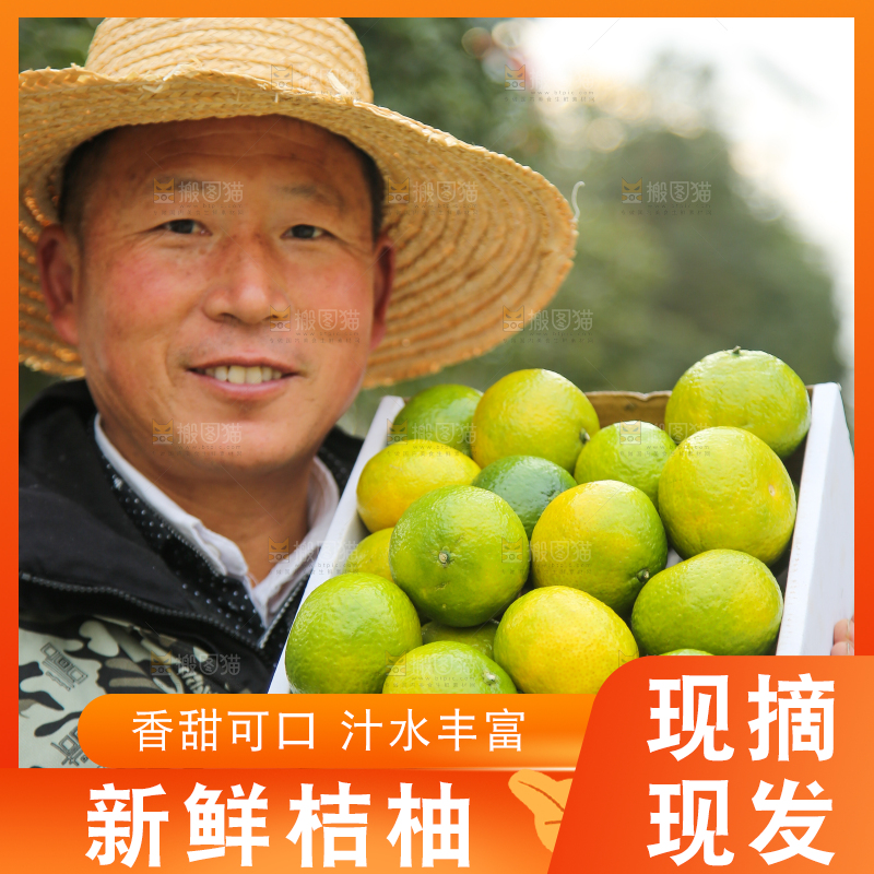 手里拿着建阳桔柚