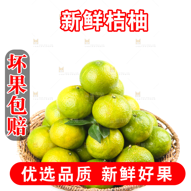 白底上的桔柚