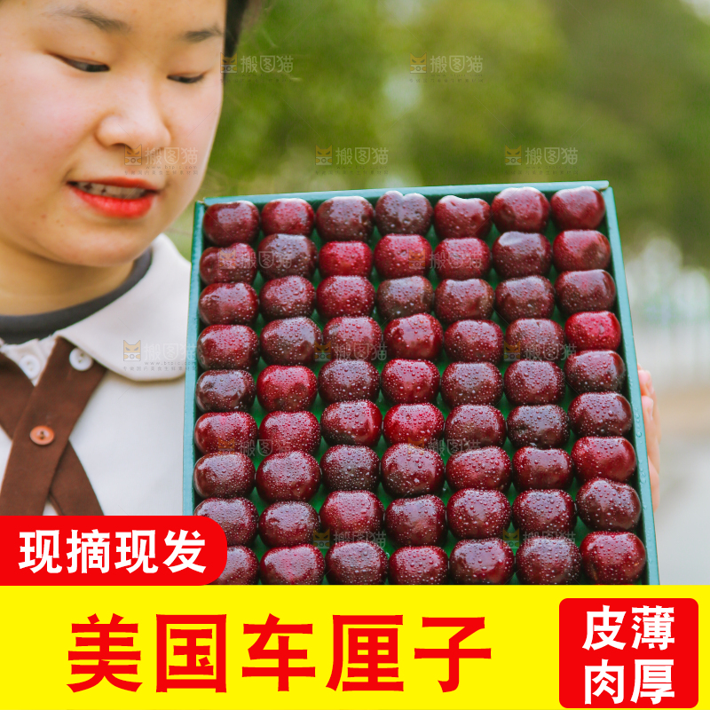 手里拿着车厘子