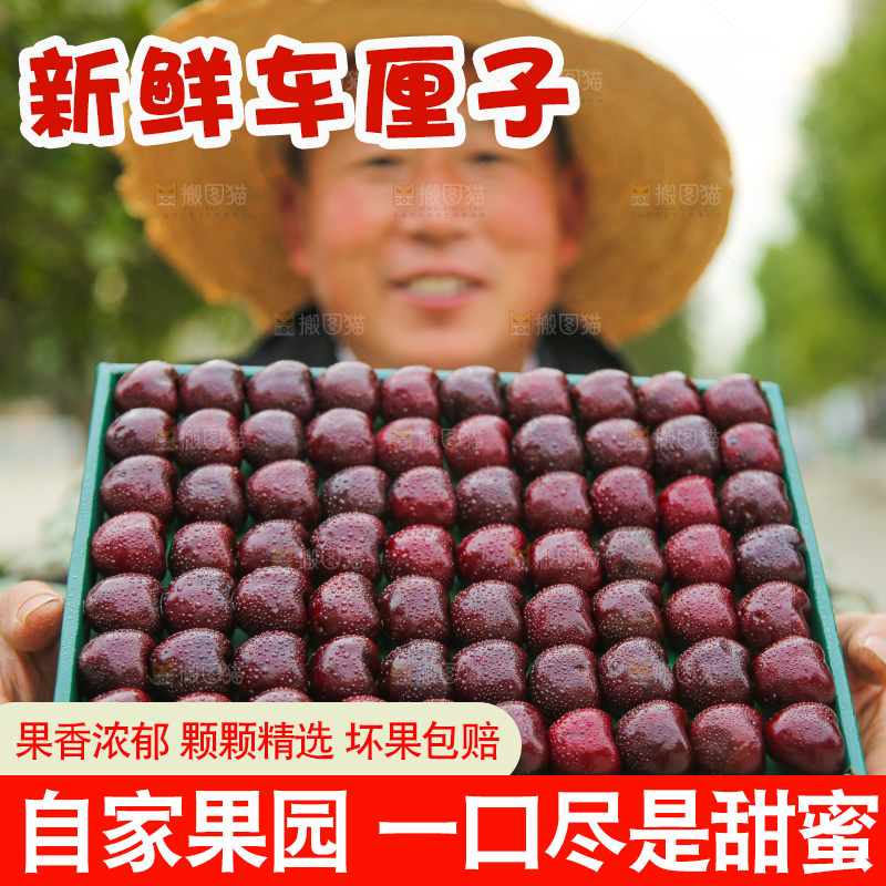 手里拿着车厘子