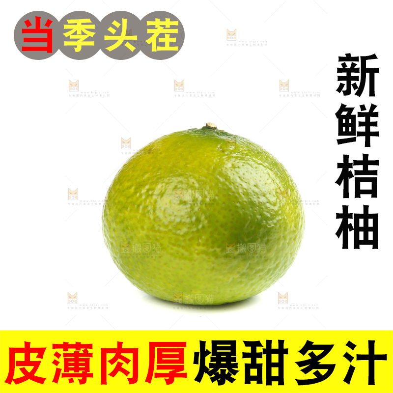 白底上的桔柚