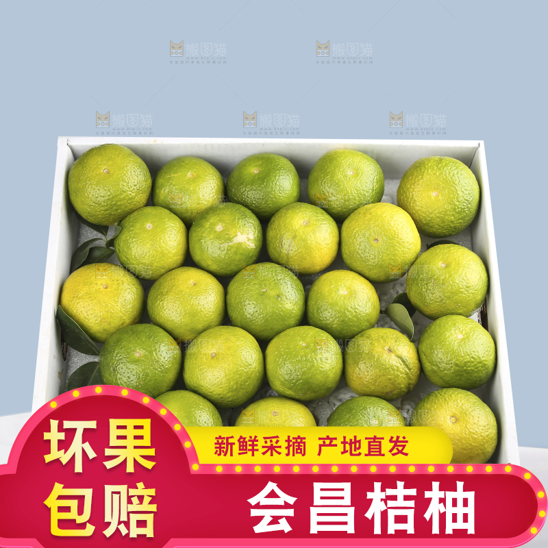 深底上的建阳桔柚