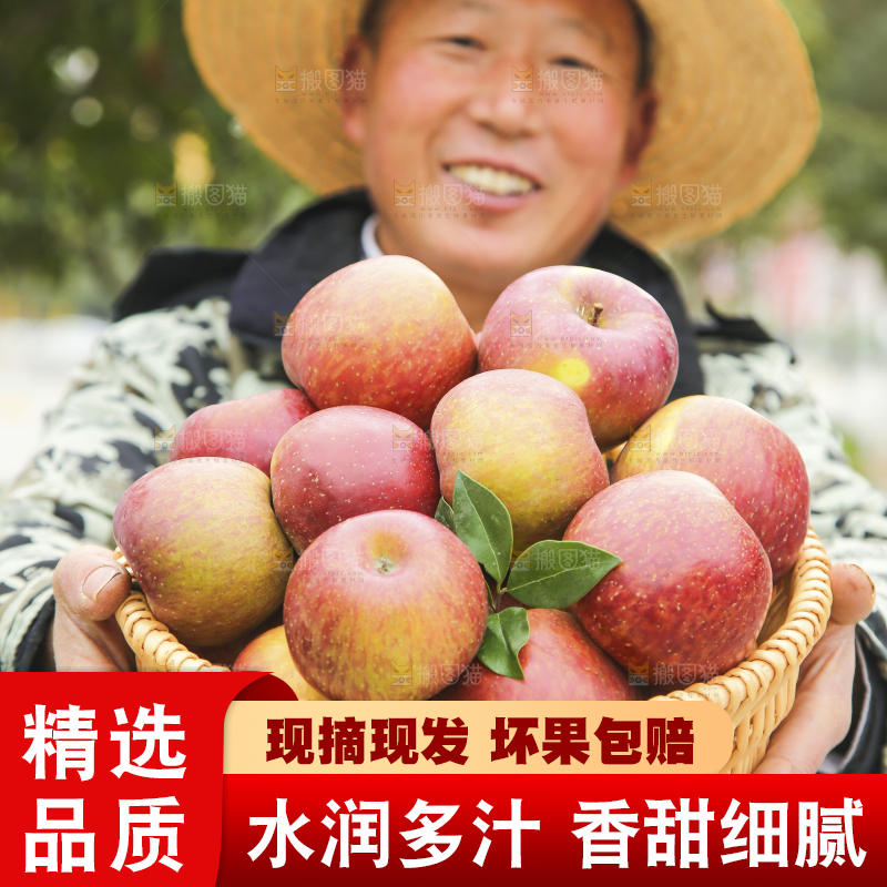 手里拿着丑苹果