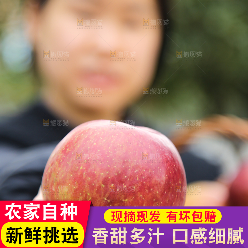 手里拿着丑苹果