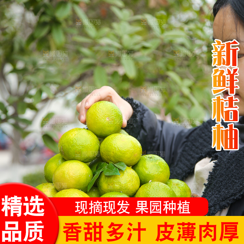 手里拿着建阳桔柚