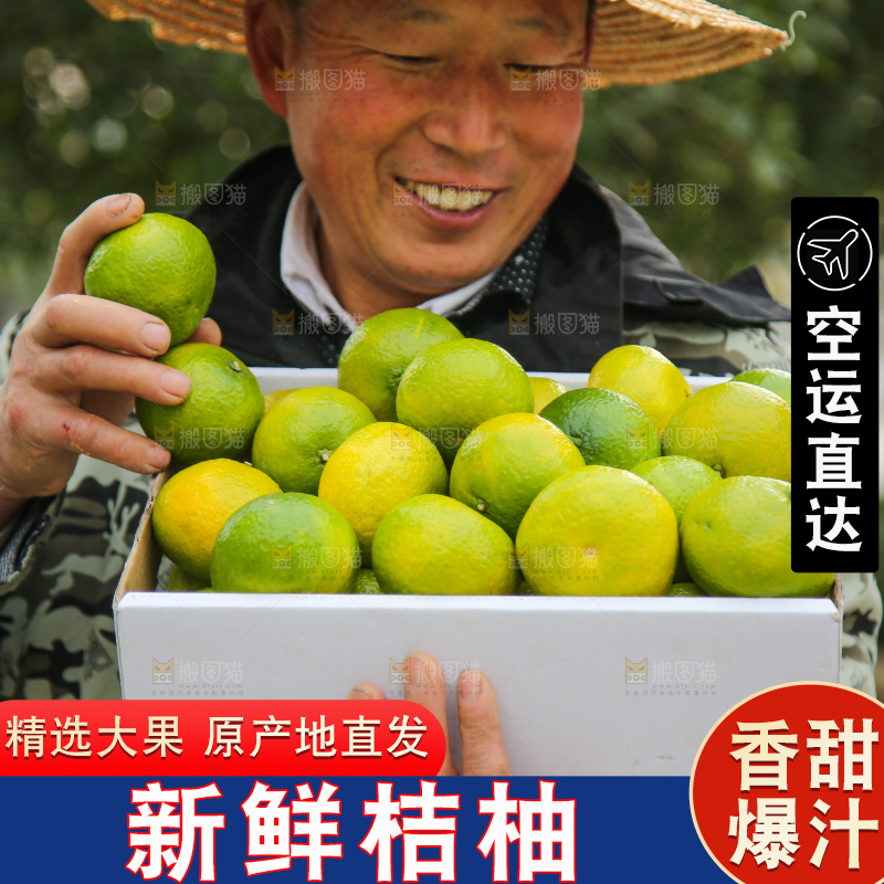 手里拿着建阳桔柚