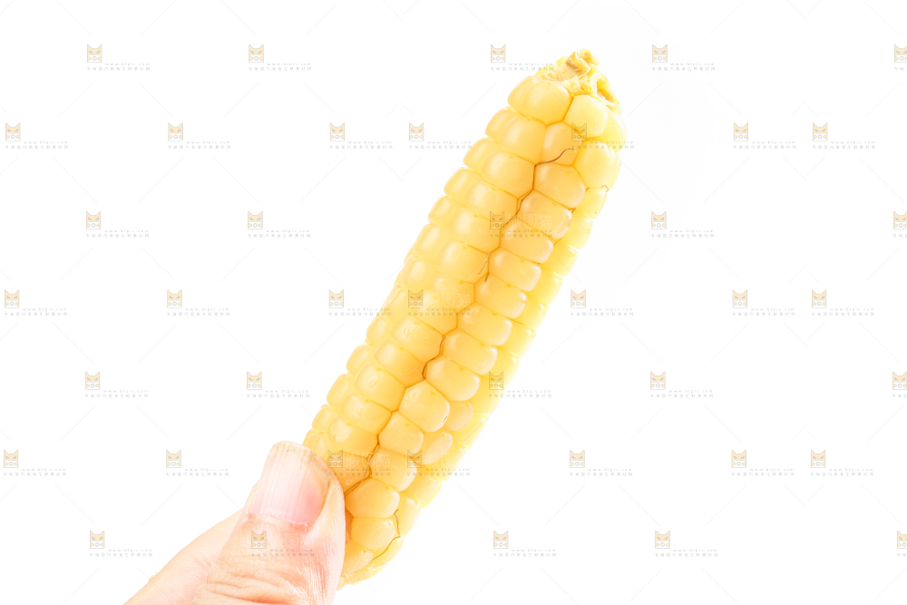 白底上的手指糯玉米