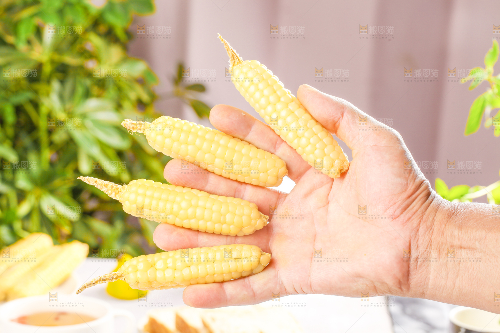 浅底上的手指糯玉米
