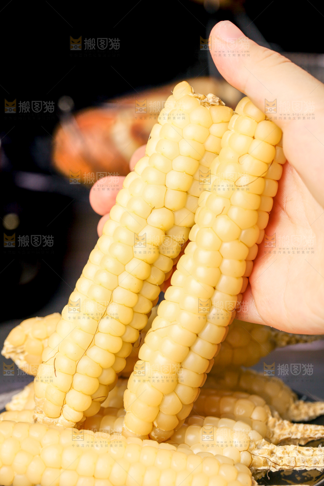 深底上的拇指小玉米