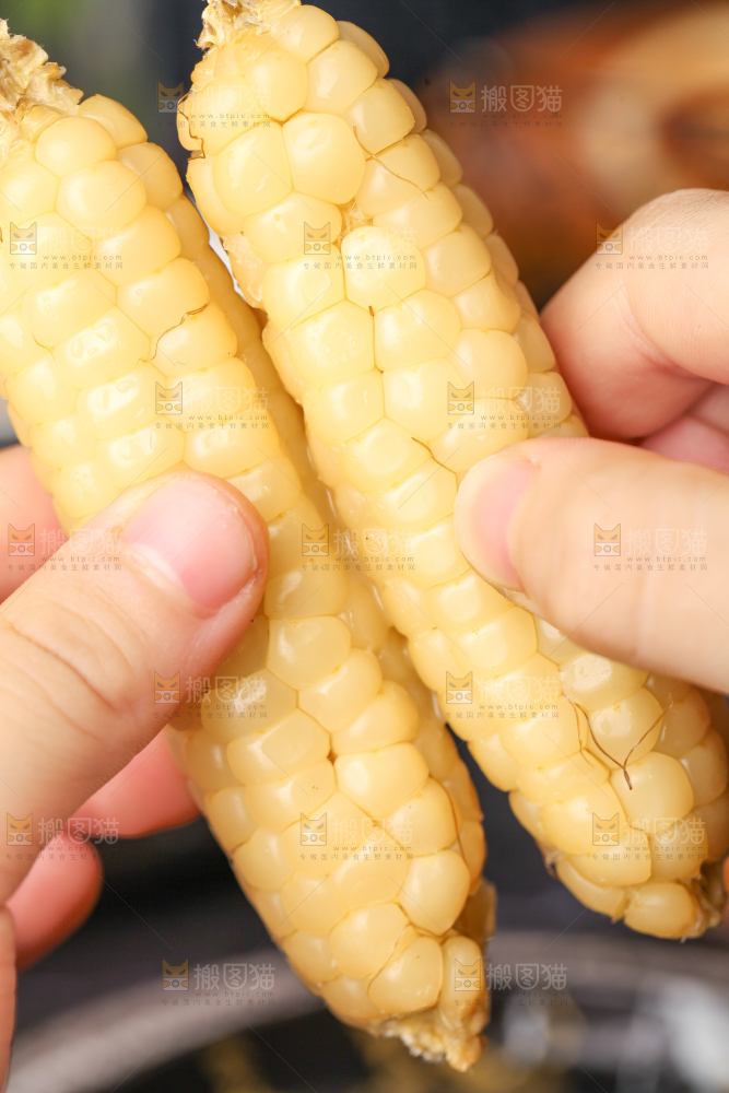 深底上的拇指小玉米