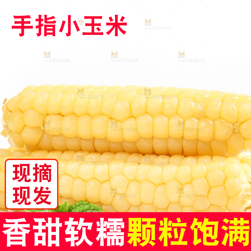 白底上的手指糯玉米