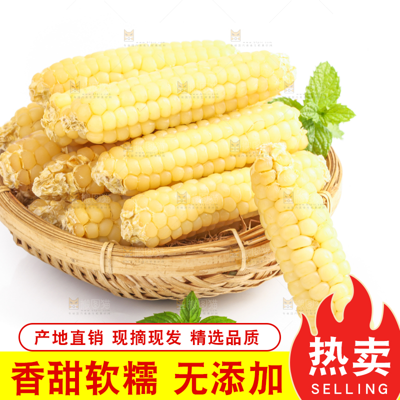 白底上的手指糯玉米