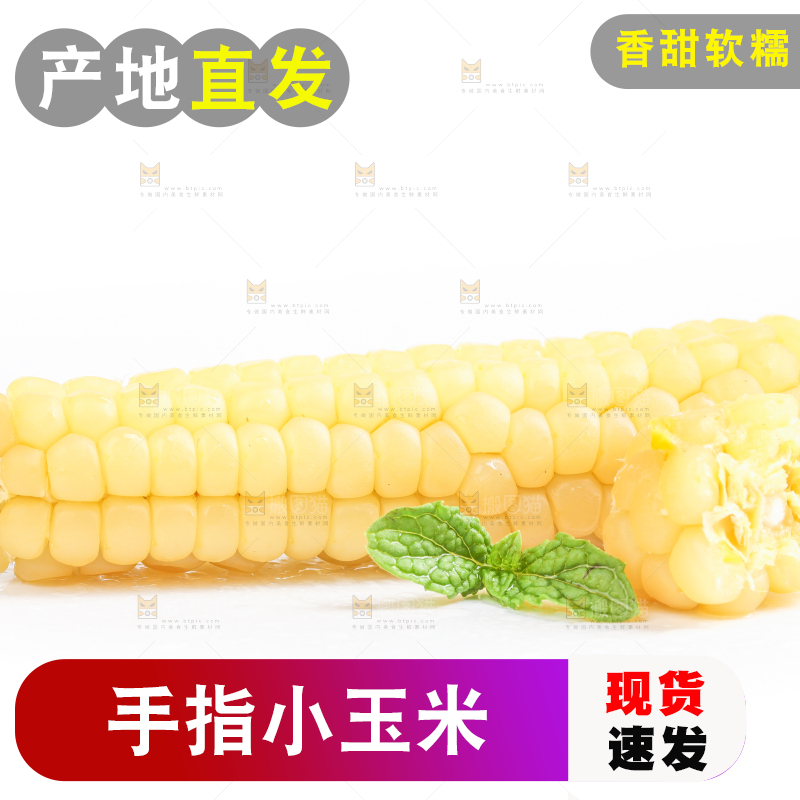 白底上的手指糯玉米
