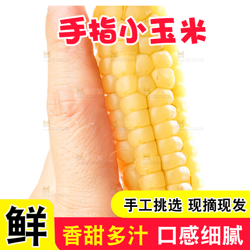 白底上的手指糯玉米