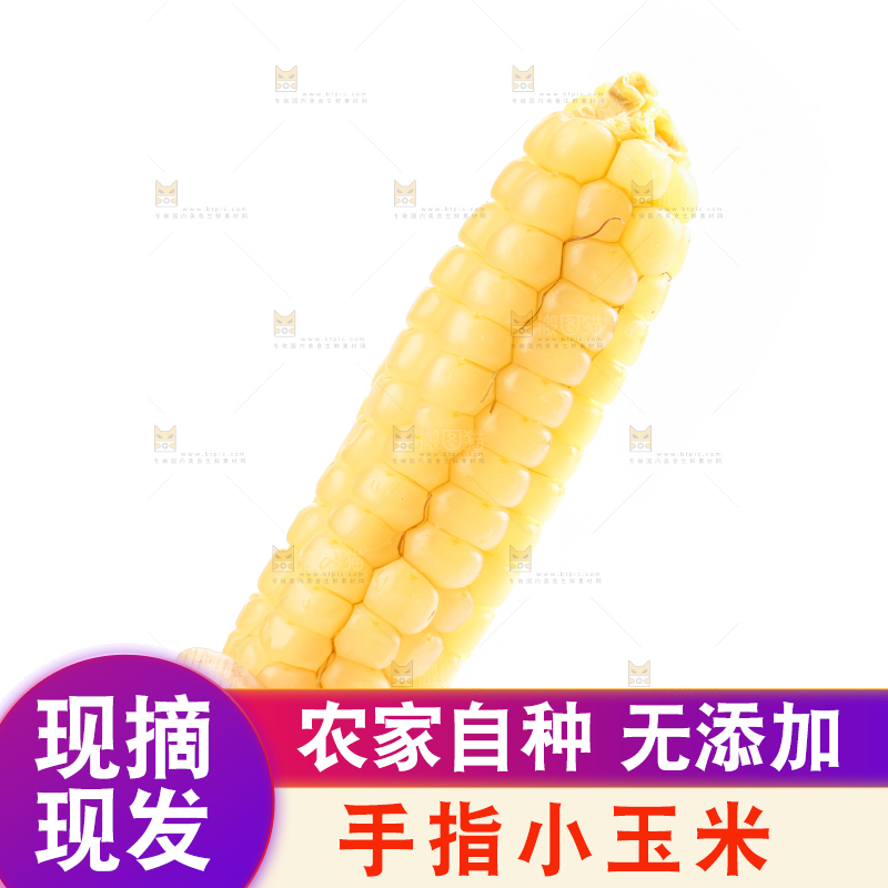 白底上的手指糯玉米