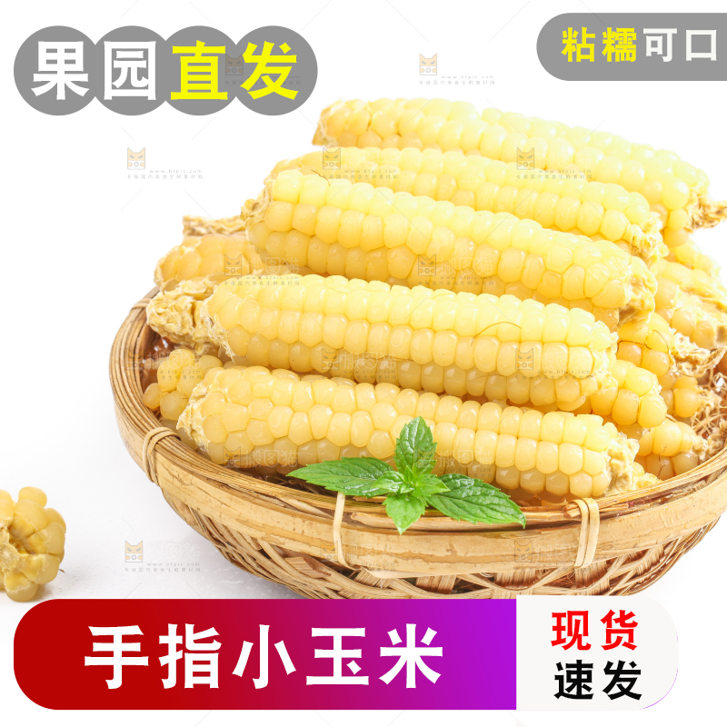 白底上的手指糯玉米