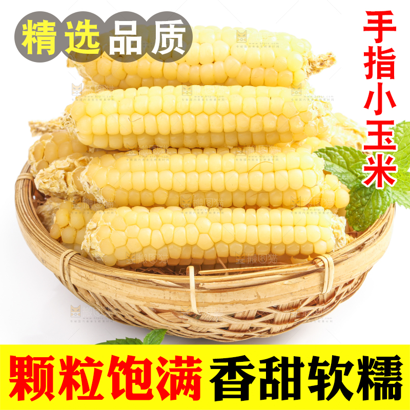 白底上的手指糯玉米