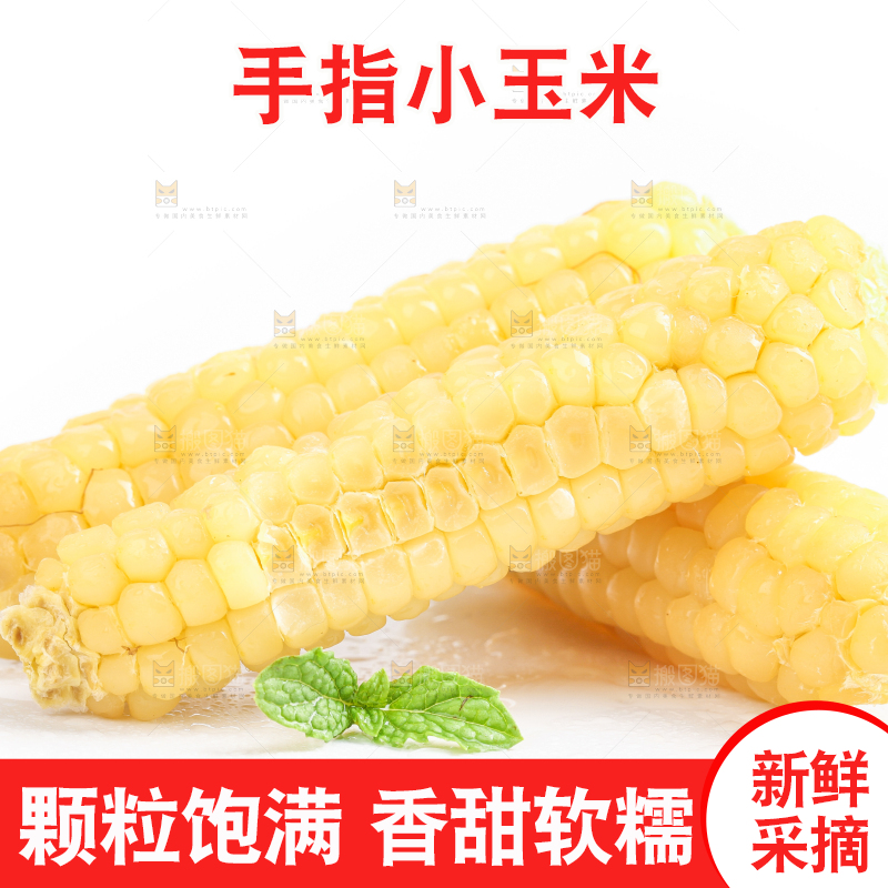 白底上的手指糯玉米