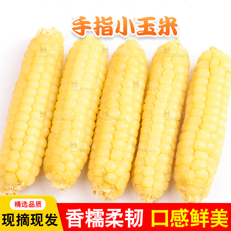 白底上的手指糯玉米