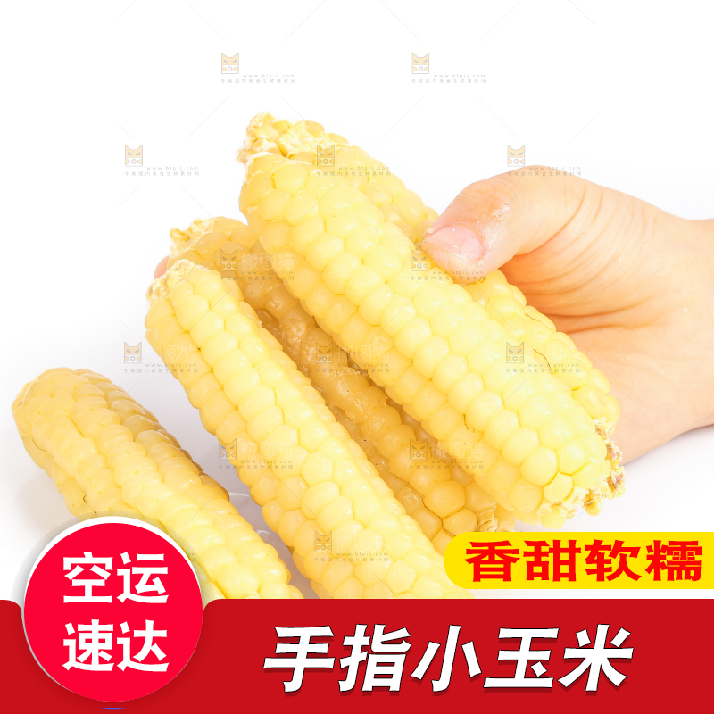 白底上的手指糯玉米
