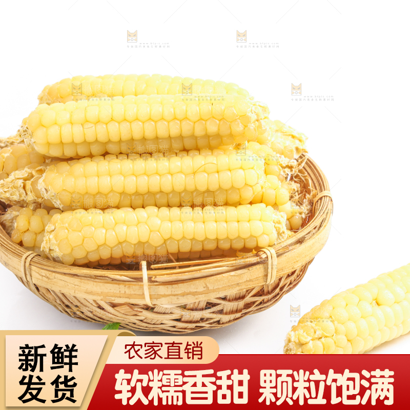 白底上的手指糯玉米