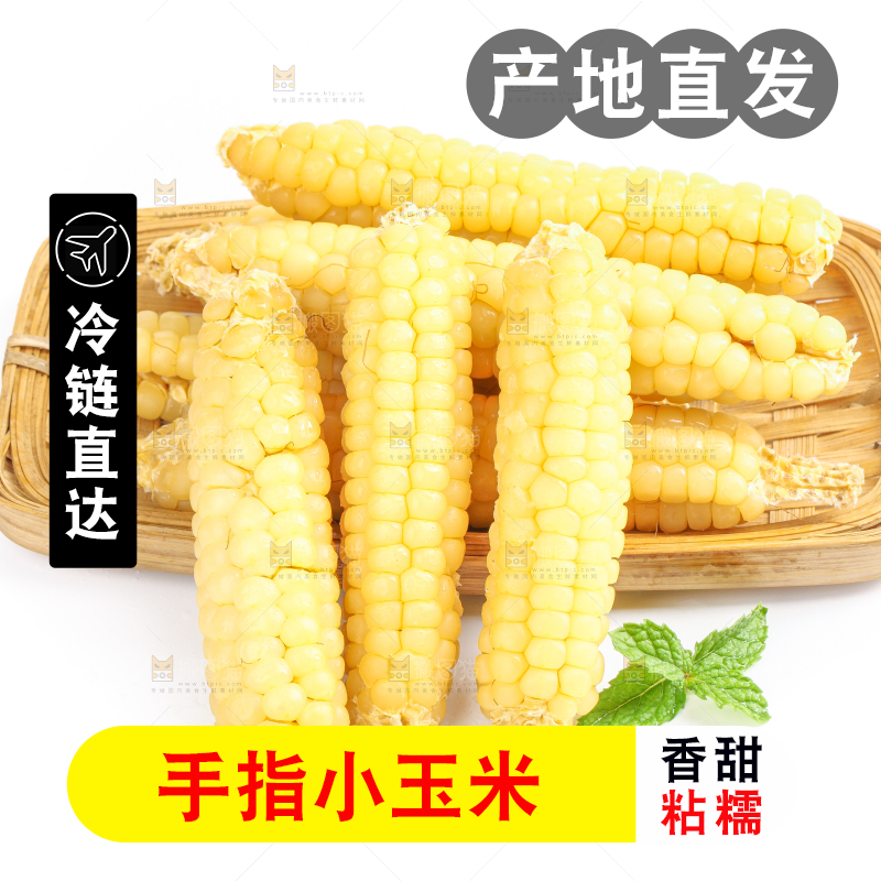白底上的手指糯玉米