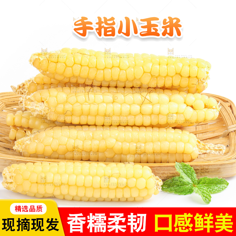 白底上的手指糯玉米