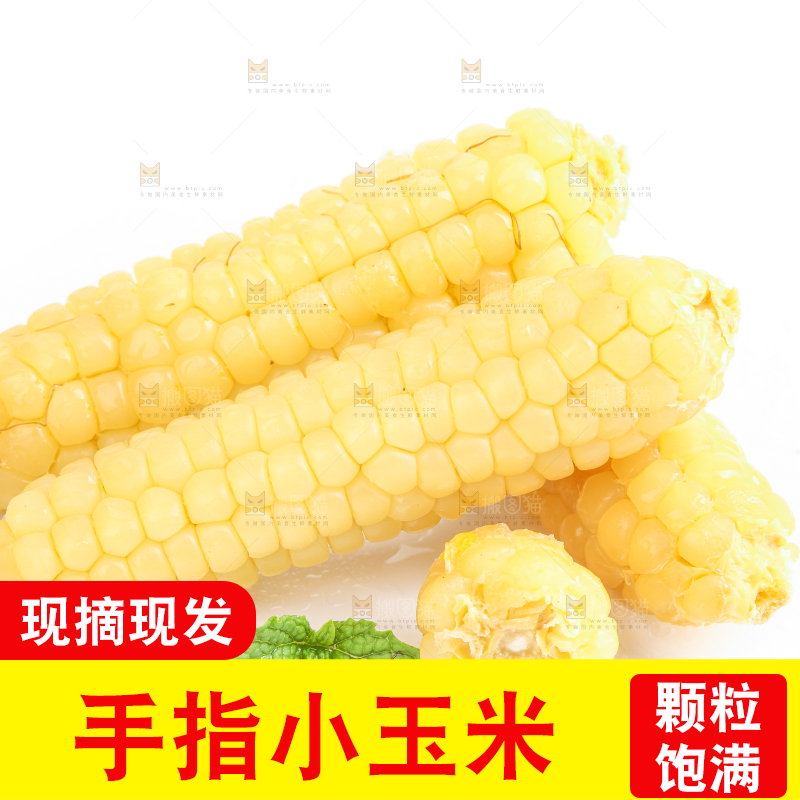 白底上的手指糯玉米