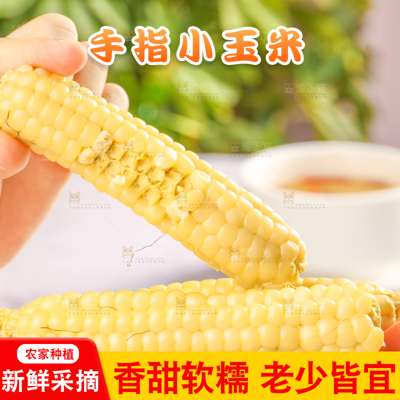 浅底上的手指糯玉米