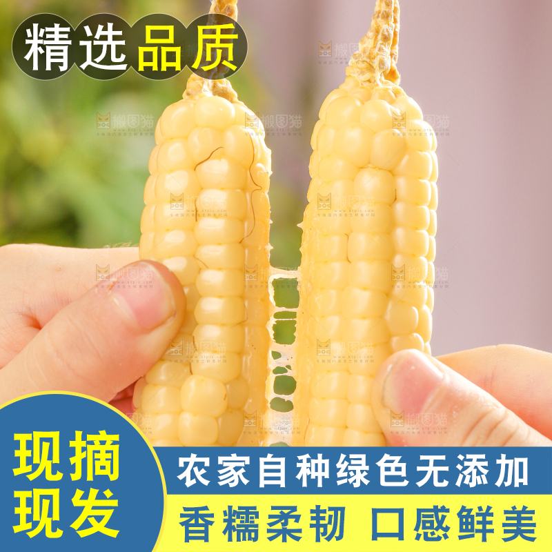 浅底上的手指糯玉米