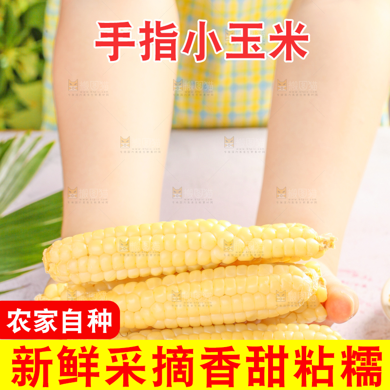 浅底上的手指糯玉米