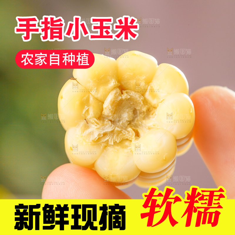 浅底上的手指糯玉米