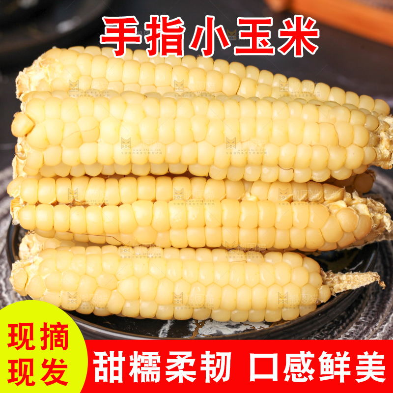 深底上的拇指小玉米