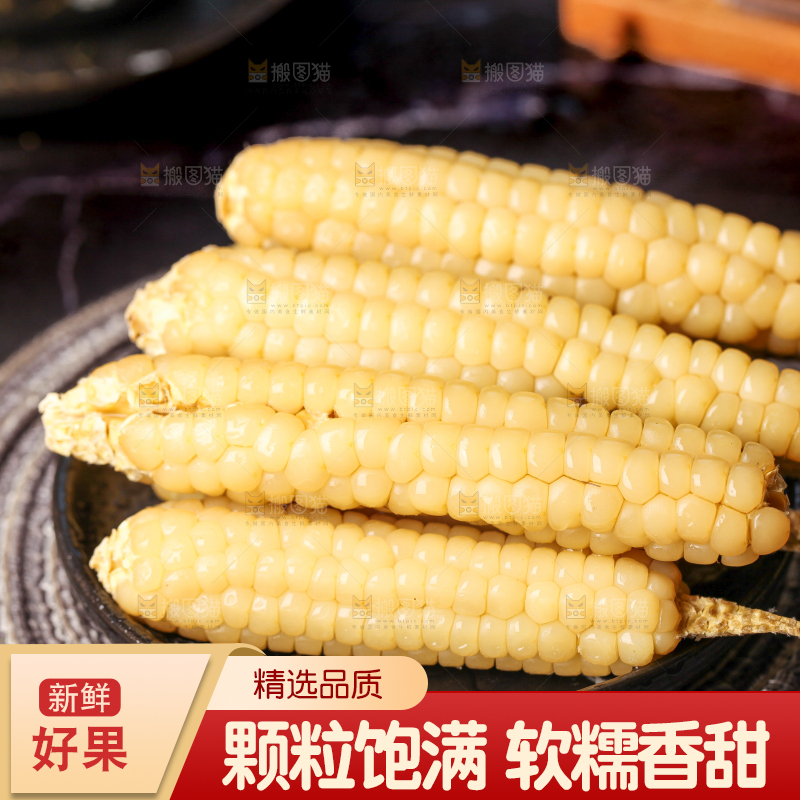 深底上的拇指小玉米