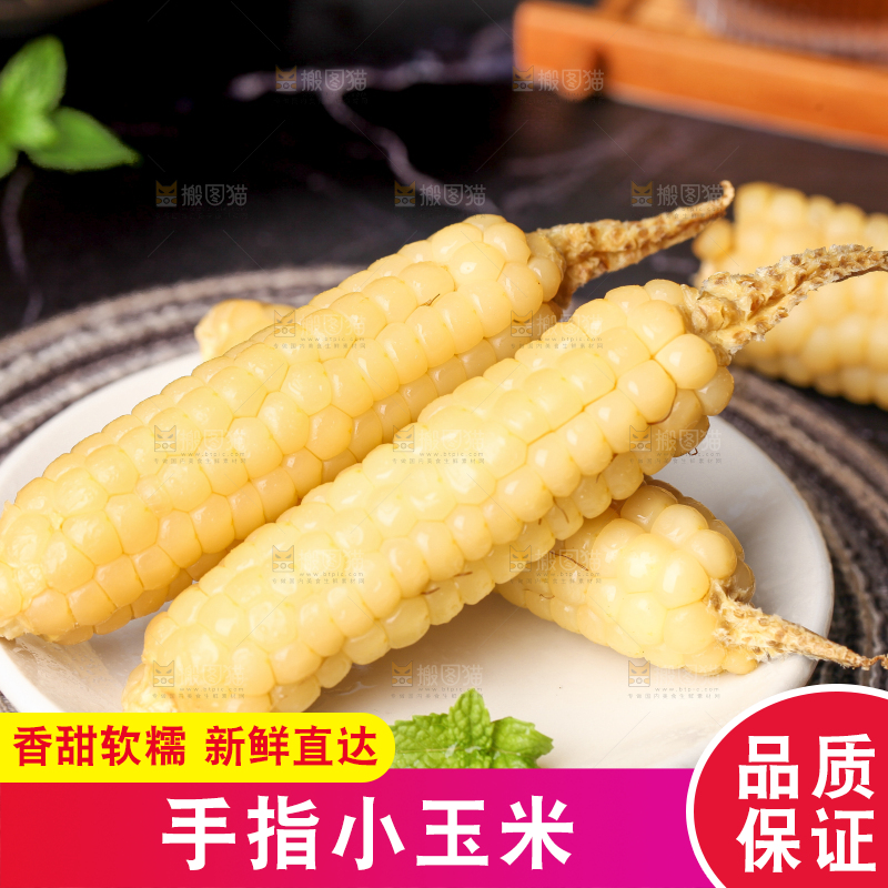 深底上的拇指小玉米