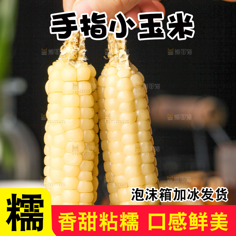 深底上的拇指小玉米