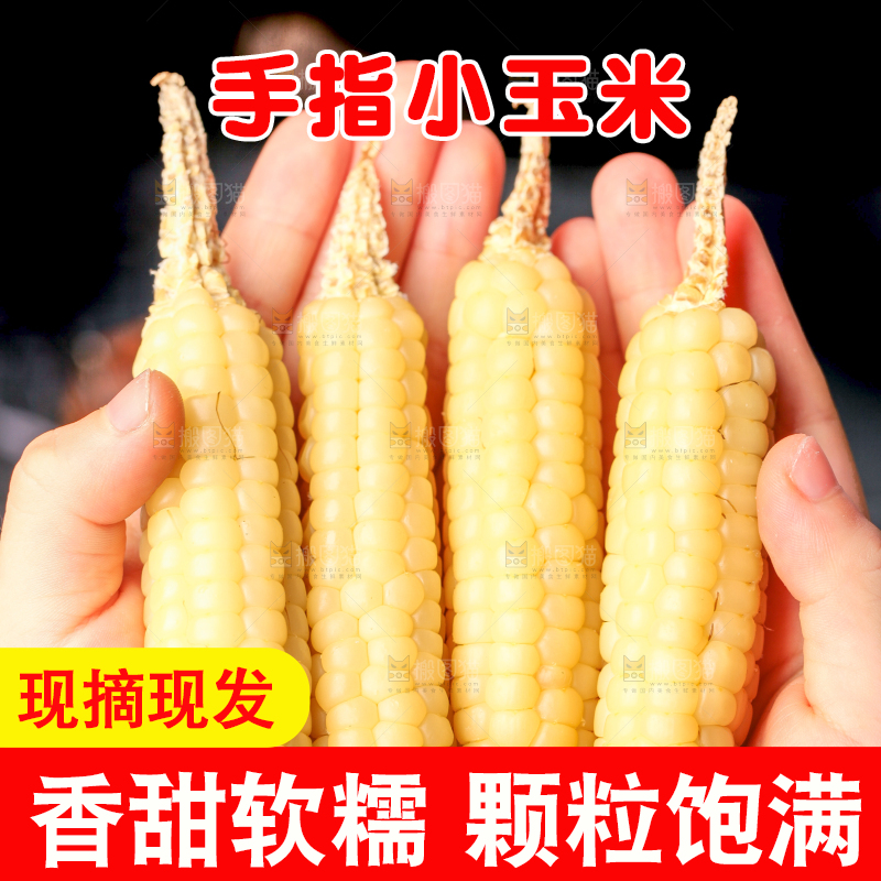 深底上的拇指小玉米