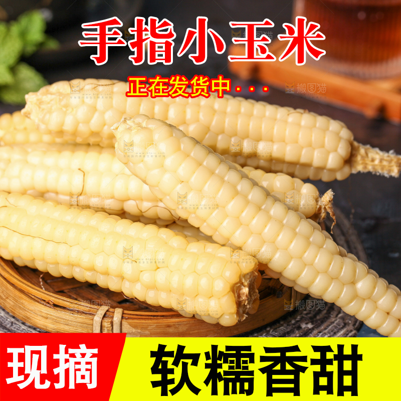 深底上的拇指小玉米