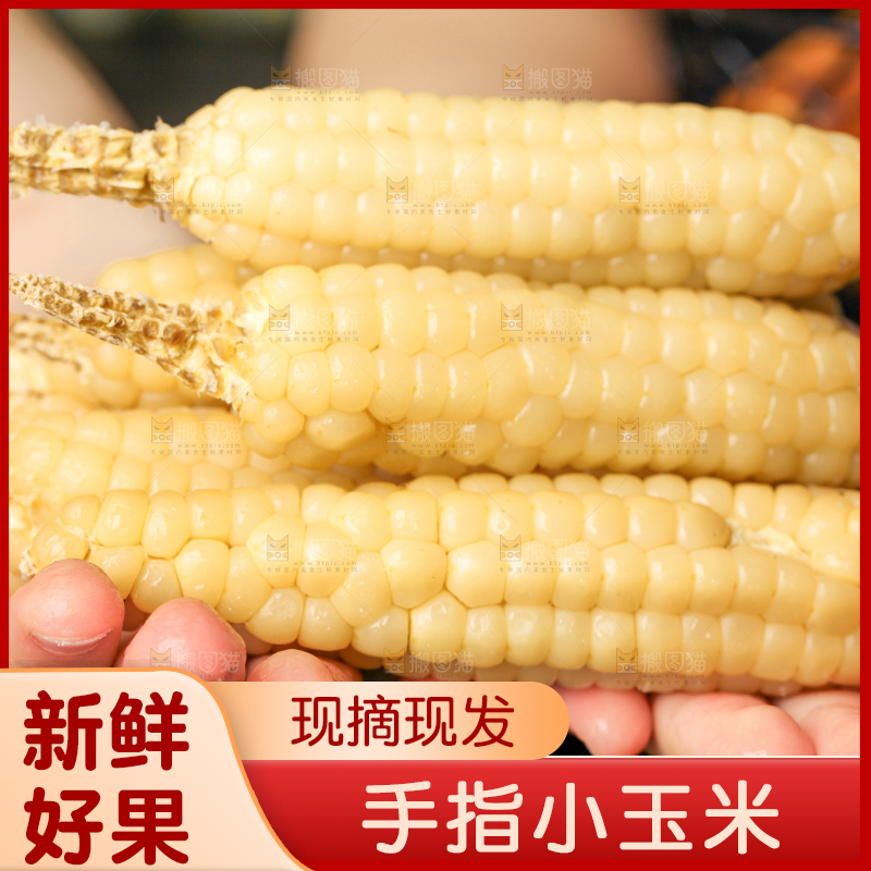 深底上的拇指小玉米