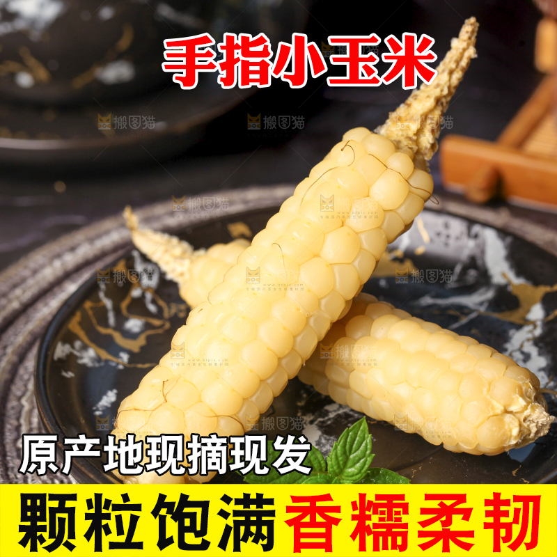 深底上的拇指小玉米