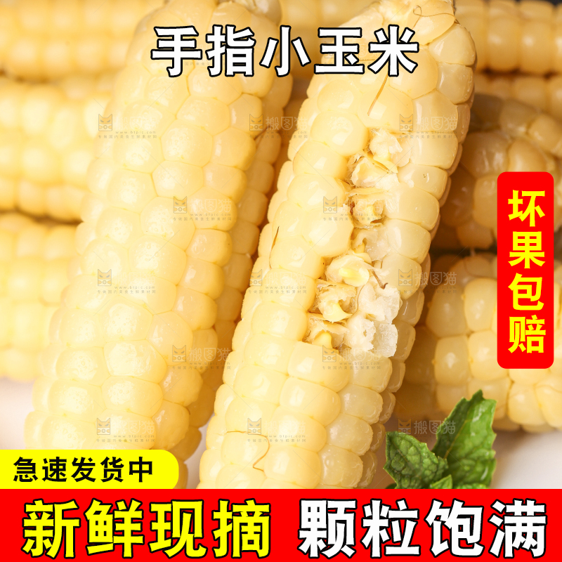 深底上的拇指小玉米