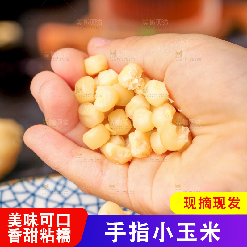 深底上的拇指小玉米