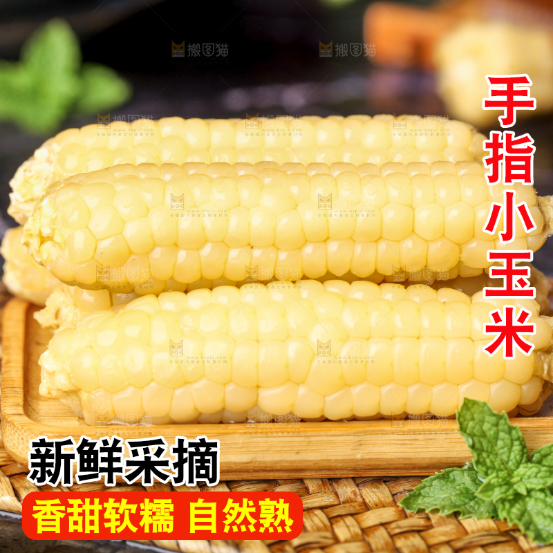 深底上的拇指小玉米