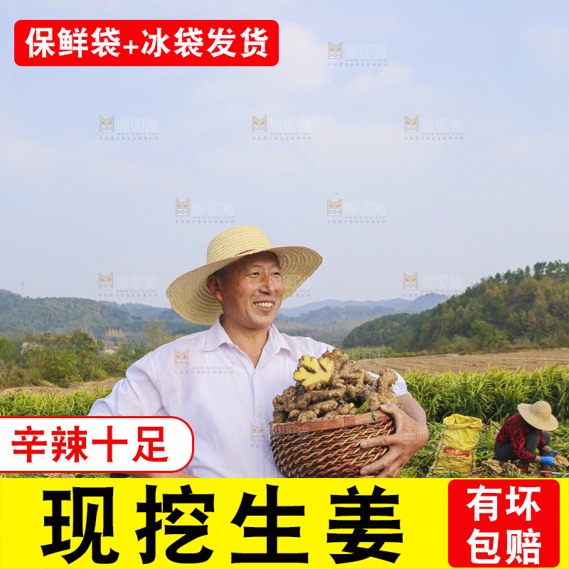手里拿着新鲜生姜