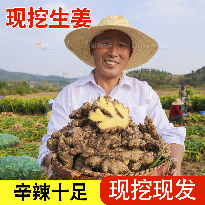 手里拿着新鲜生姜